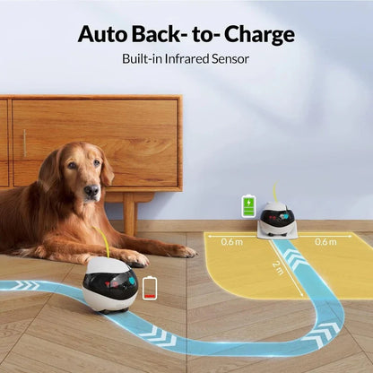 Ebo Couples Camera Robot